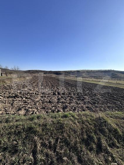 Teren Construcții intravilan de 5800 mp, în Exterior Est