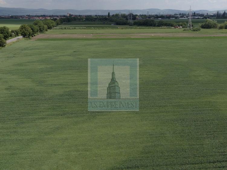 Teren Construcții intravilan de 50000 mp, în Hălchiu