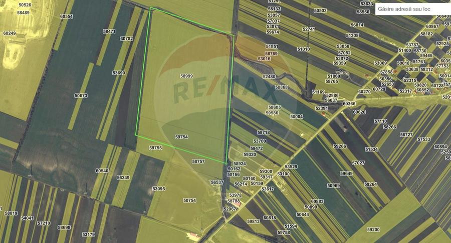 Teren agricol extravilan de 315258 mp, în Vânători