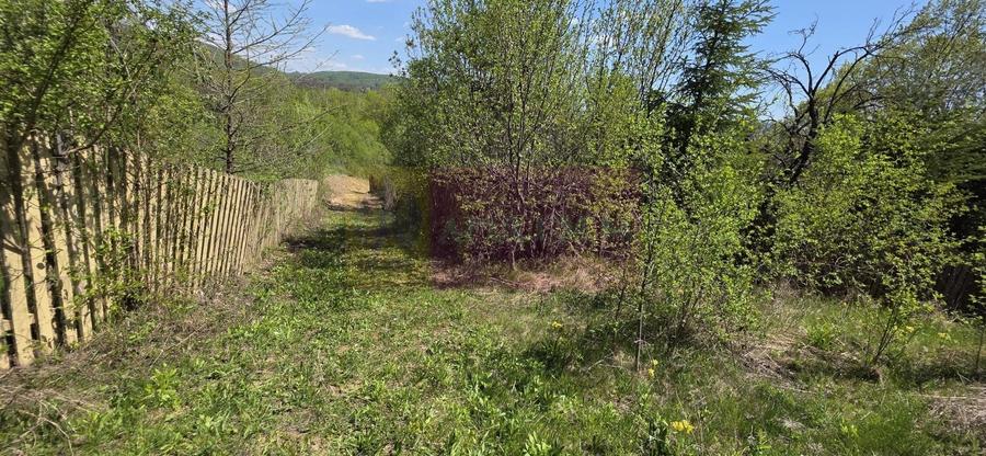 Teren Construcții intravilan de 1494 mp, în Șotrile