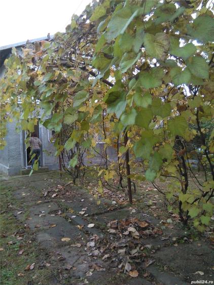 Casă cu 3 camere în Filipeștii de Pădure