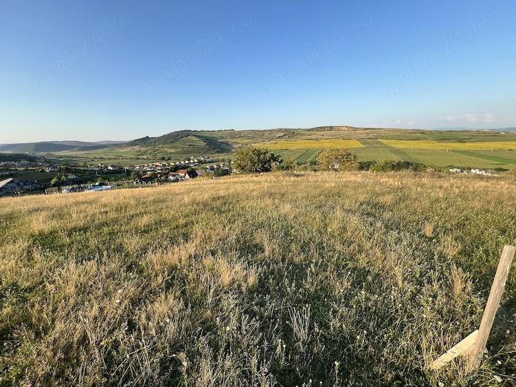 Vanzare doua terenuri 600 mp cu acte in regula Santana de Mure? (zona Unirii - Barde?ti) - 8