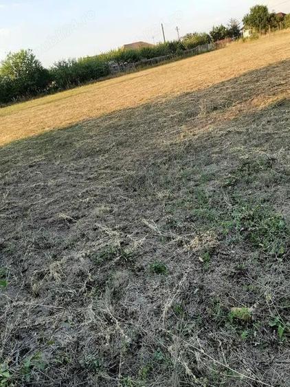 Teren de 870 mp, în Central