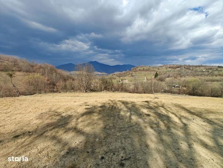 Teren de 12050 mp, în Josenii Bârgăului