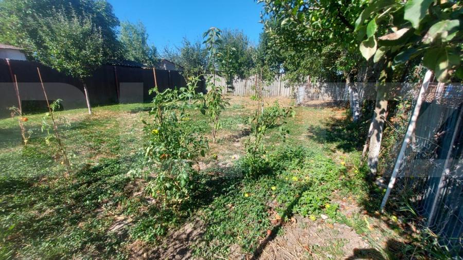 Casă cu 3 camere cu Teren 3860 Mp în Chichiș