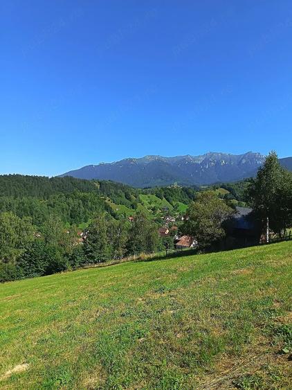 Teren de 8000 mp, în Bran