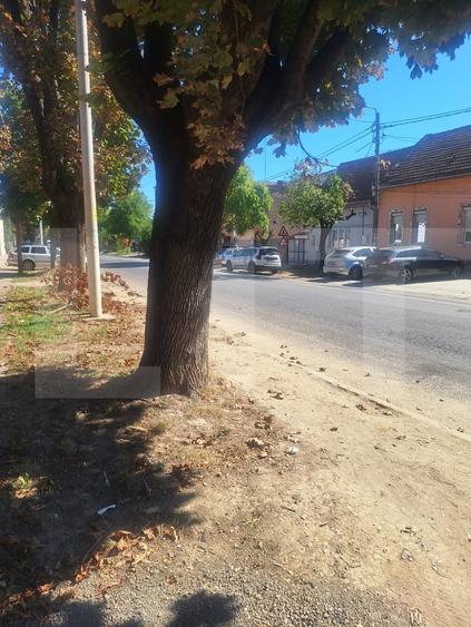 Casă individuală cu 4 camere cu Canalizare în Lugoj