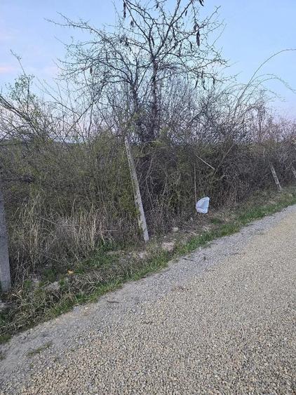 Teren de 1000 mp, în Dealuri Oradea