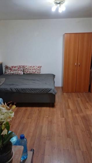 Garsonieră decomandată în Timișoara