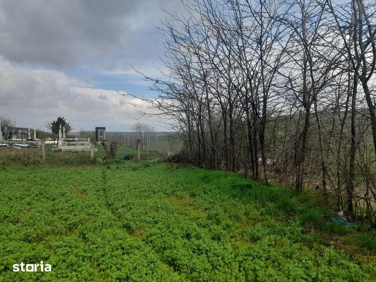 Casă cu 2 camere cu Teren 1058 Mp în Bălțați