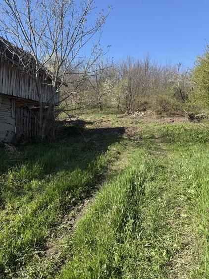 Spațiu comercial, în Cracu Almăj