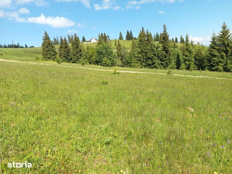 Teren de 700 mp, în Tiha Bârgăului