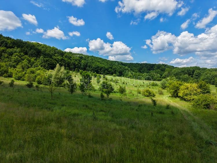 Teren agricol extravilan de 5500 mp, în Valea Mare-Podgoria