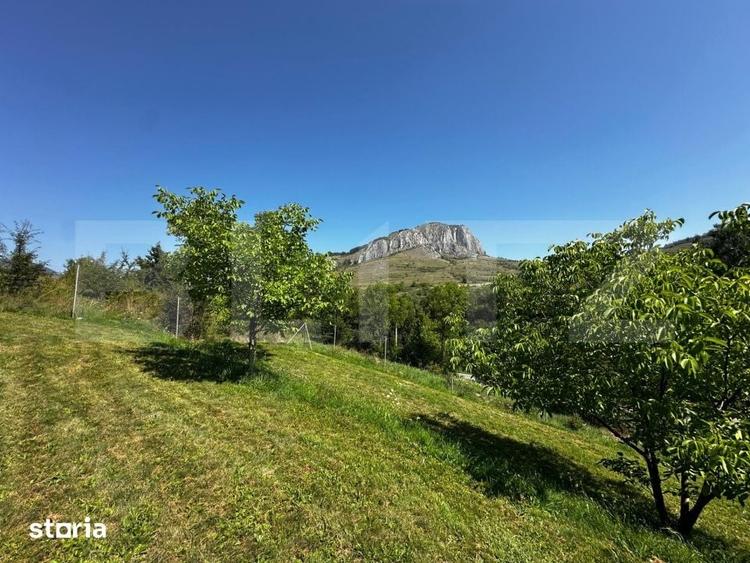 Teren de 1800 mp, în Sălciua