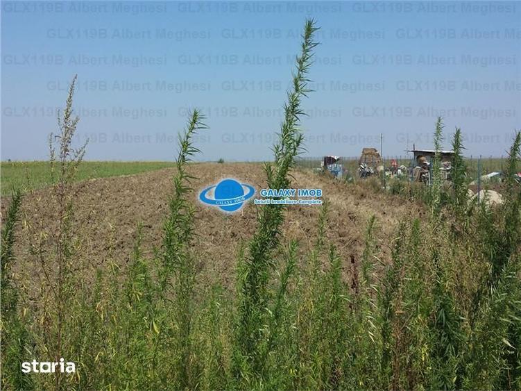 Teren de 20700 mp, în Herăști