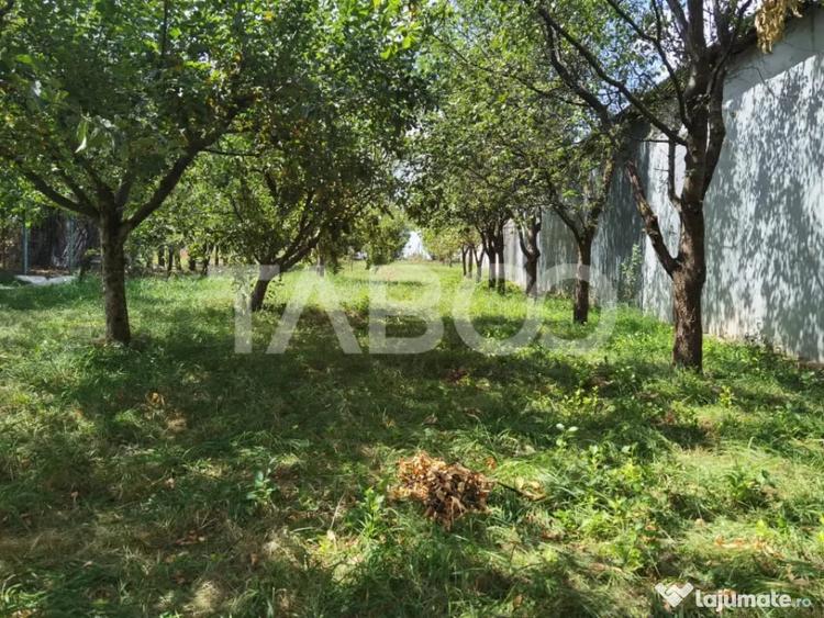 Teren în Poplaca