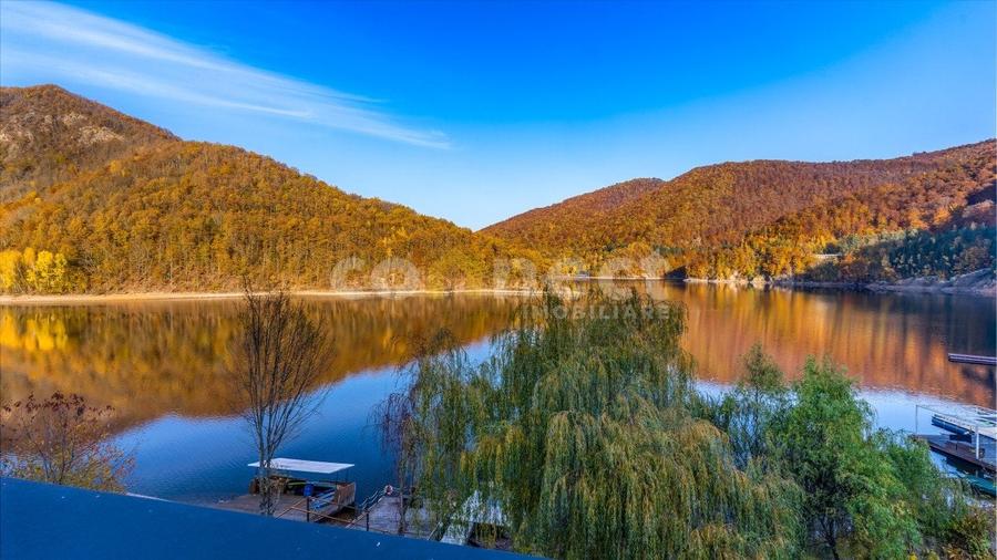 Proprietate specială, de 94 mp, în Tarnița