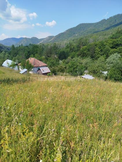 Vand Casa si Teren Sat Vadu Oii, Gura Teghii