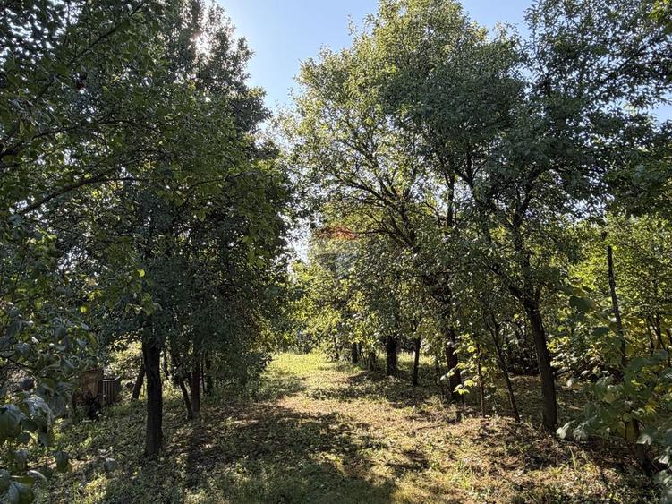 Casă cu 2 camere cu Teren 1500 Mp în Bârgău