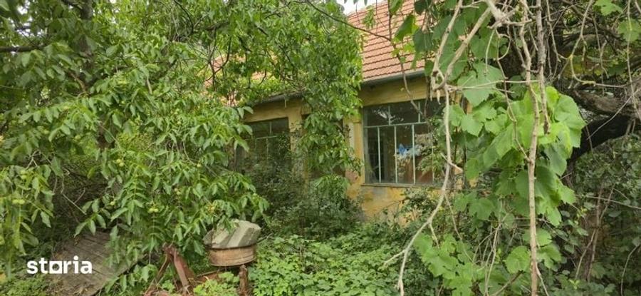 Casa si teren de vanzare - 4