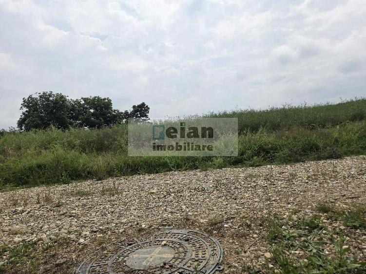 Teren Construcții intravilan de 1234 mp, în Ciolpani