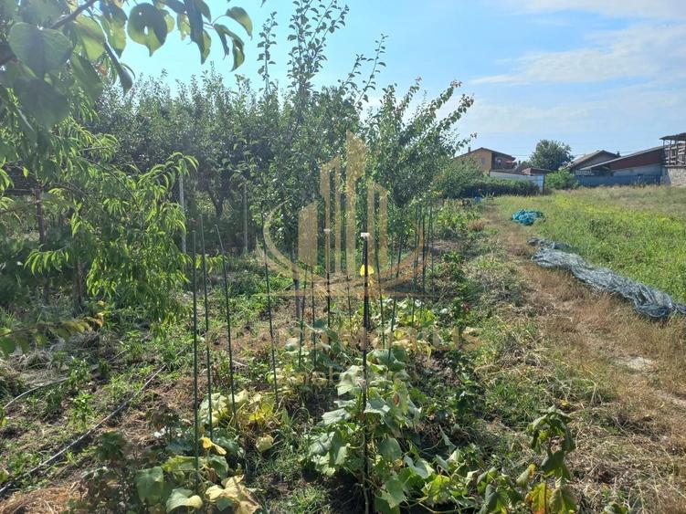 Casă individuală cu 3 camere cu Canalizare în Plopi