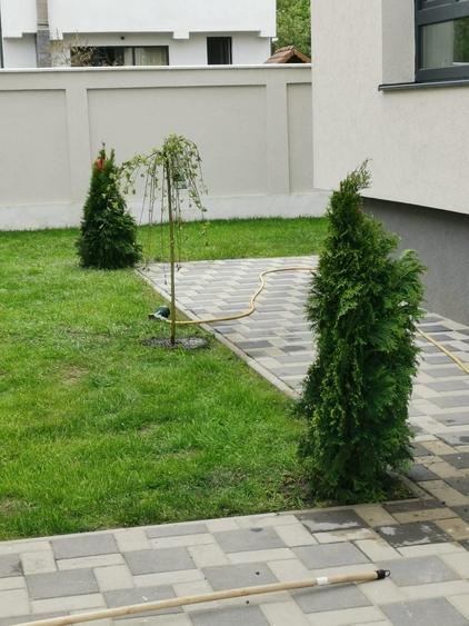 Casă individuală cu 8 camere cu Canalizare în Șelimbăr