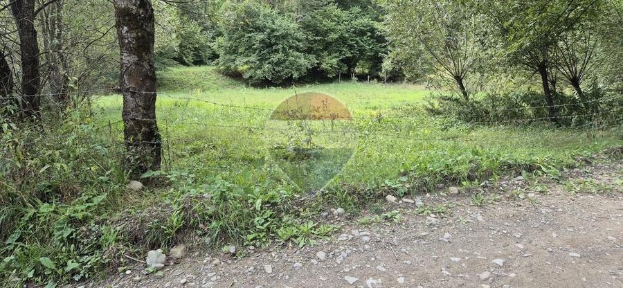 Teren Construcții intravilan de 2800 mp, în Tarcău
