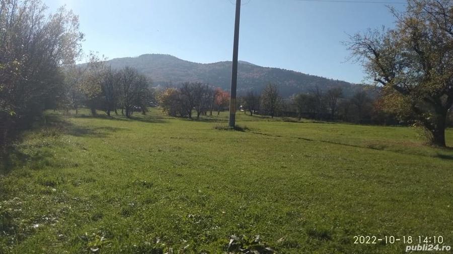 Teren de 9081 mp, în Crăcăoani