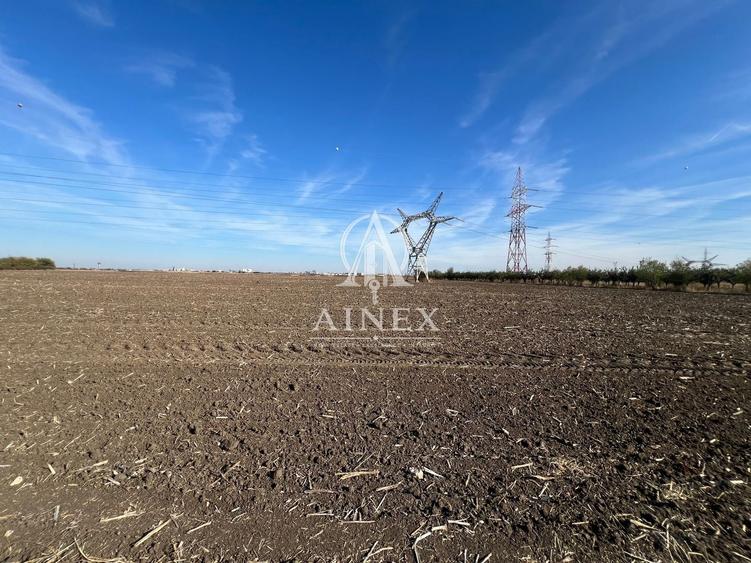 Teren agricol de 35000 mp, în Mehala
