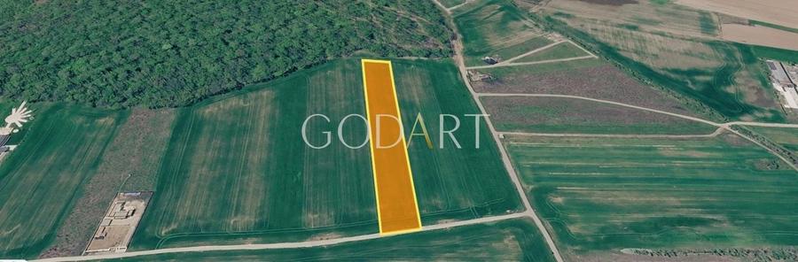 Teren agricol intravilan de 10000 mp, în Ciolpani