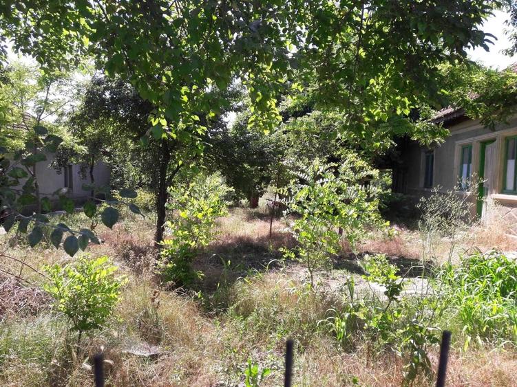 Casă cu 4 camere în Amara