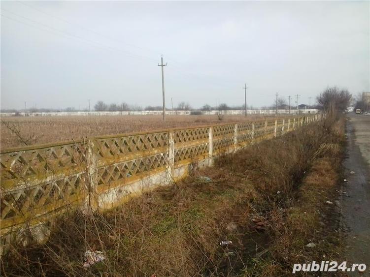 Teren de 43000 mp, în Căzănești