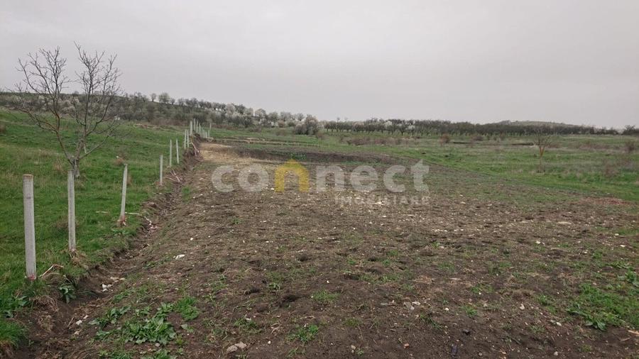 Teren Construcții intravilan de 1870 mp, în Mărăști
