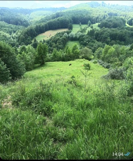 Teren de 5000 mp, în Teșila
