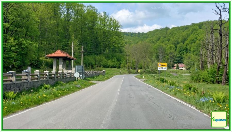 Teren agricol extravilan de 49.200000762939 mp, în Cheia