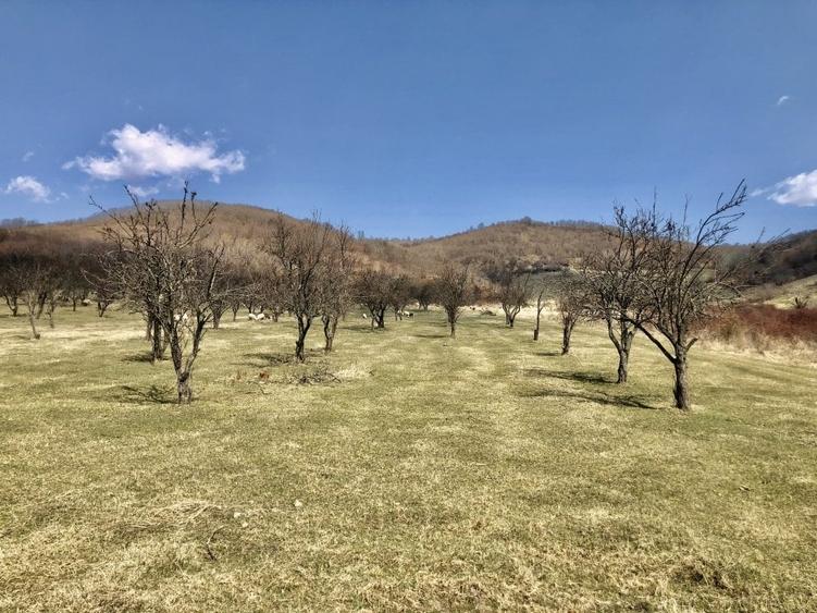 Teren Construcții intravilan de 90000 mp, în Nord