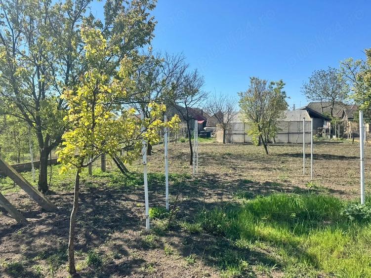 Casă cu 4 camere cu Teren 1536 Mp în Variaș