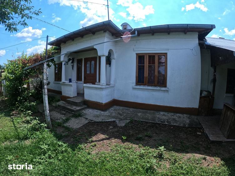 Casă cu 3 camere cu Teren 1038 Mp în Vedea