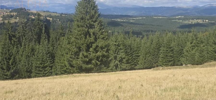 Teren de 27020 mp, în Piatra