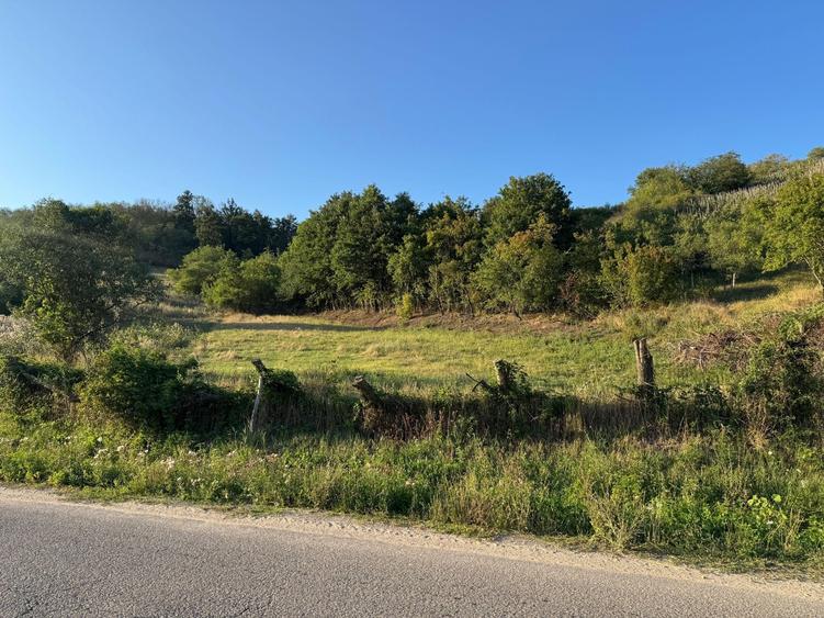 Teren de 1500 mp, în Boianu Mare