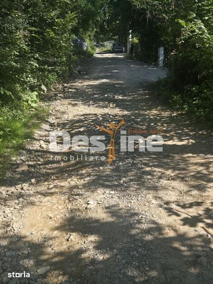 Teren Valea Doftanei, zona Pe Vale - Baraj Paltinu - 8