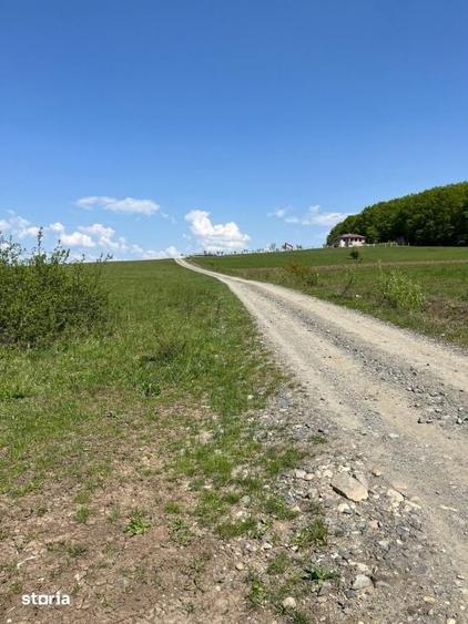 Teren de 600 mp, în Sadu