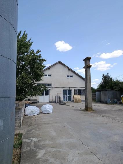 Teren de 14305 mp, în Biharia