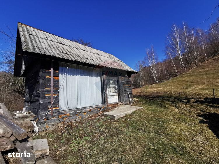 Teren de 10100 mp, în Bulz