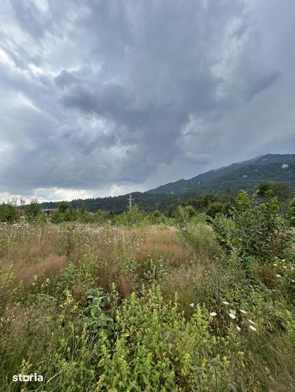 Teren de 1724 mp, în Nord