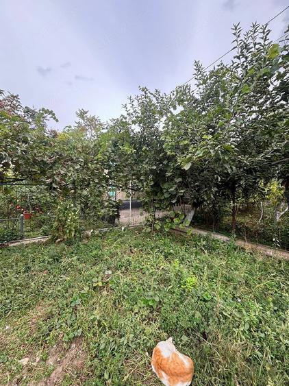 Casă cu Teren 1426 Mp în Mineri