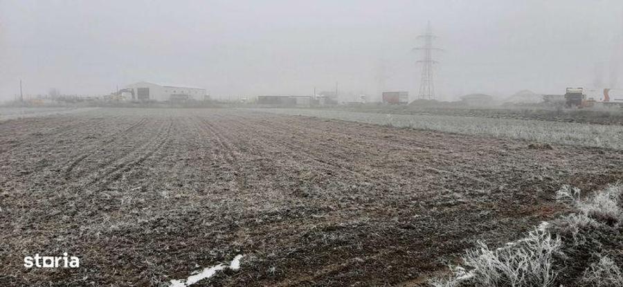 Teren de 6500 mp, în Tărtășești