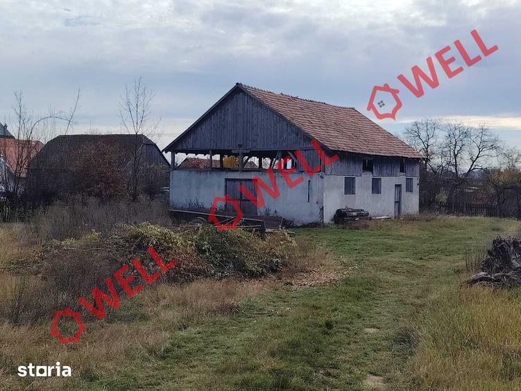 Teren de 1985 mp, în Valea Crișului