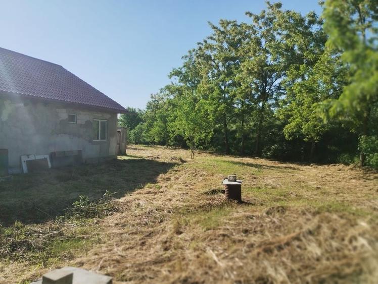 Casă cu 3 camere în Prisăcani